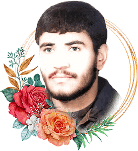 alireza-bakhshinejad